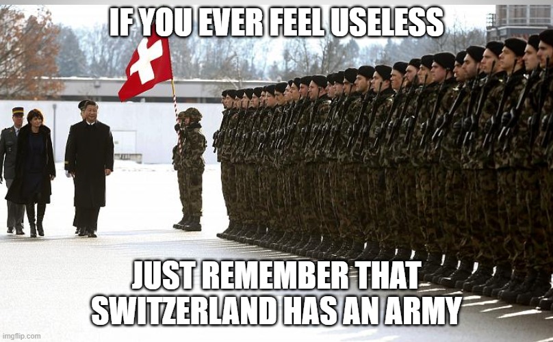 If you ever feel useless | IF YOU EVER FEEL USELESS; JUST REMEMBER THAT SWITZERLAND HAS AN ARMY | image tagged in switzerland | made w/ Imgflip meme maker