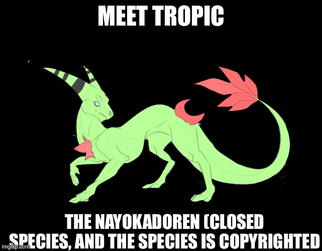 Ha, she just got approved | MEET TROPIC; THE NAYOKADOREN (CLOSED SPECIES, AND THE SPECIES IS COPYRIGHTED | made w/ Imgflip meme maker