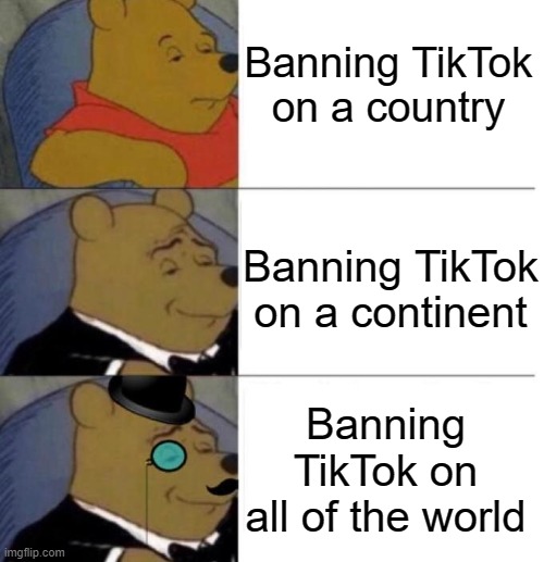 Tuxedo winnie the pooh | Banning TikTok on a country; Banning TikTok on a continent; Banning TikTok on all of the world | image tagged in tuxedo winnie the pooh 3 panel,tiktok | made w/ Imgflip meme maker