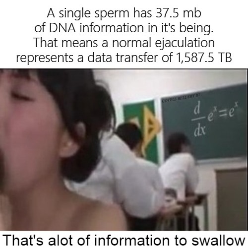 High Quality Alot Of Information To Swallow Data Transfer Blank Meme Template