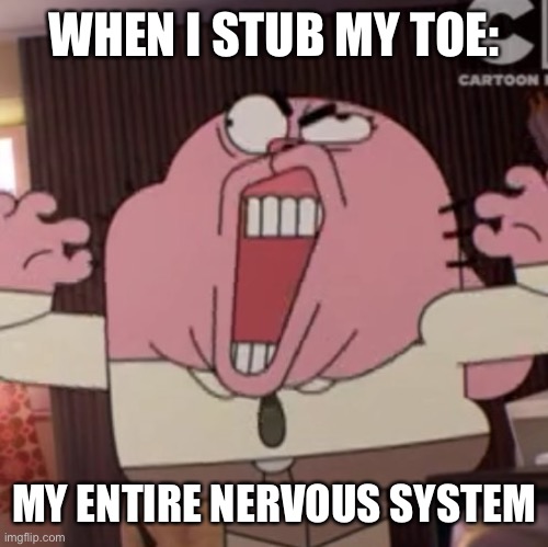 Hate it when that happens | WHEN I STUB MY TOE:; MY ENTIRE NERVOUS SYSTEM | image tagged in i hate it when,the amazing world of gumball,amazing world of gumball | made w/ Imgflip meme maker
