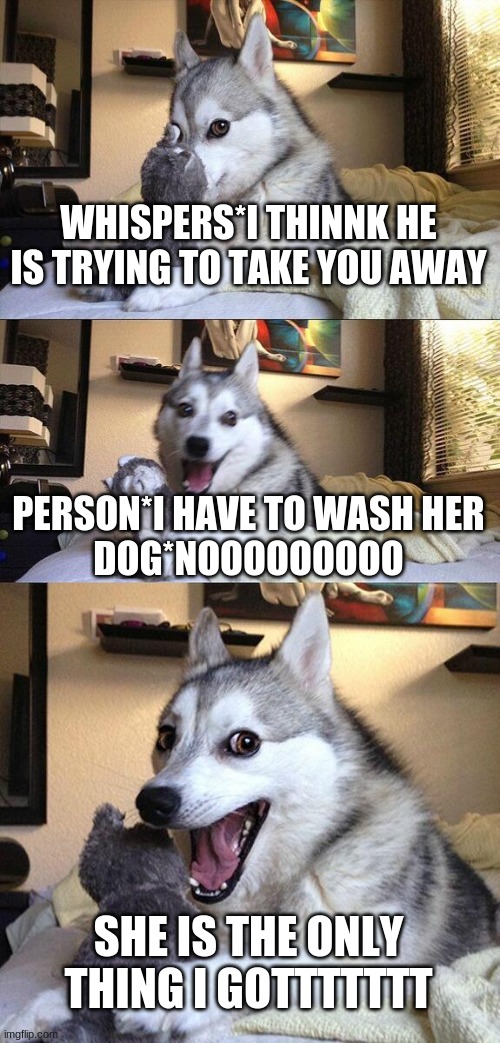 Bad Pun Dog | WHISPERS*I THINNK HE IS TRYING TO TAKE YOU AWAY; PERSON*I HAVE TO WASH HER

DOG*NOOOOOOOOO; SHE IS THE ONLY THING I GOTTTTTTT | image tagged in memes,bad pun dog | made w/ Imgflip meme maker