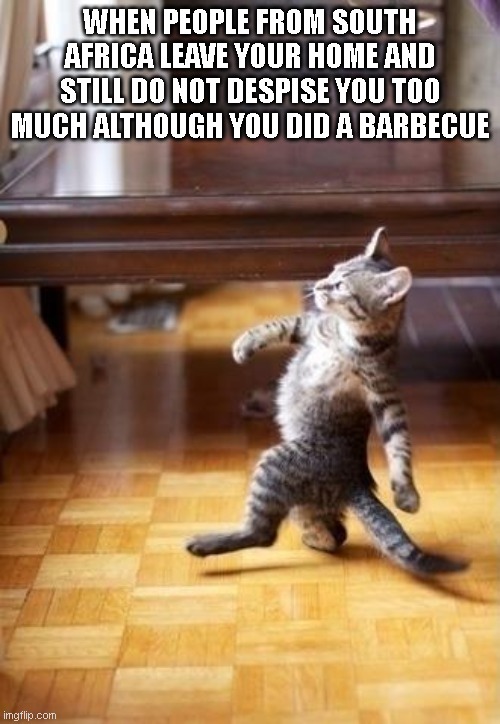 You survived the braai test | WHEN PEOPLE FROM SOUTH AFRICA LEAVE YOUR HOME AND STILL DO NOT DESPISE YOU TOO MUCH ALTHOUGH YOU DID A BARBECUE | image tagged in memes,cool cat stroll,braai,barbecue,south africa | made w/ Imgflip meme maker