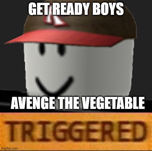 Roblox Triggered | GET READY BOYS AVENGE THE VEGETABLE | image tagged in roblox triggered | made w/ Imgflip meme maker
