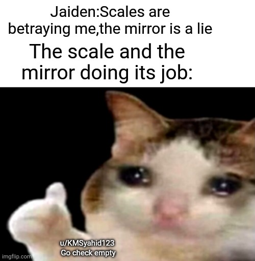 Sad cat thumbs up | Jaiden:Scales are betraying me,the mirror is a lie; The scale and the mirror doing its job:; u/KMSyahid123 
Go check empty | image tagged in sad cat thumbs up | made w/ Imgflip meme maker