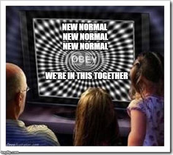 new normal | NEW NORMAL  NEW NORMAL  NEW NORMAL; WE'RE IN THIS TOGETHER | image tagged in obey | made w/ Imgflip meme maker