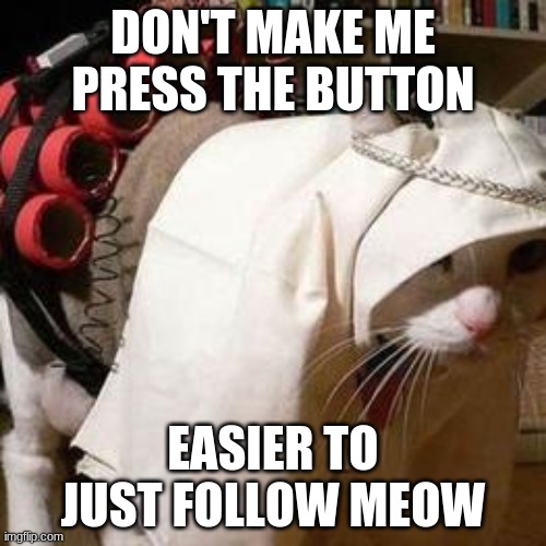 DON'T MAKE ME PRESS THE BUTTON; EASIER TO JUST FOLLOW MEOW | image tagged in cats | made w/ Imgflip meme maker