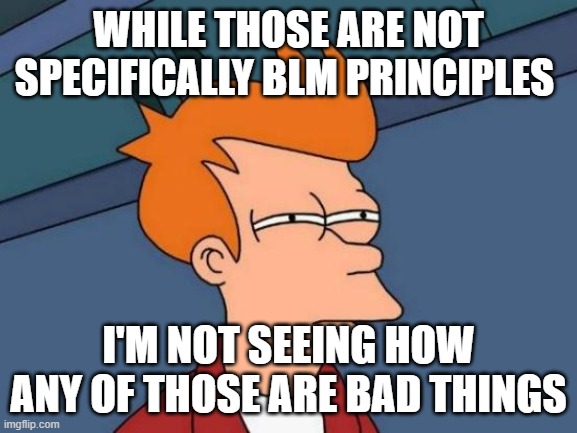 Futurama Fry Meme | WHILE THOSE ARE NOT SPECIFICALLY BLM PRINCIPLES I'M NOT SEEING HOW ANY OF THOSE ARE BAD THINGS | image tagged in memes,futurama fry | made w/ Imgflip meme maker