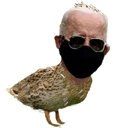 High Quality Joe Bidenduck Black Mask Trans Blank Meme Template