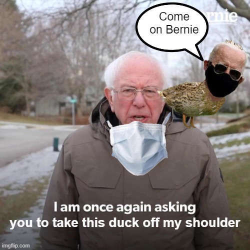 Duck Lives Matter | Come on Bernie; you to take this duck off my shoulder | image tagged in memes,bernie i am once again asking for your support,uno dilemma | made w/ Imgflip meme maker