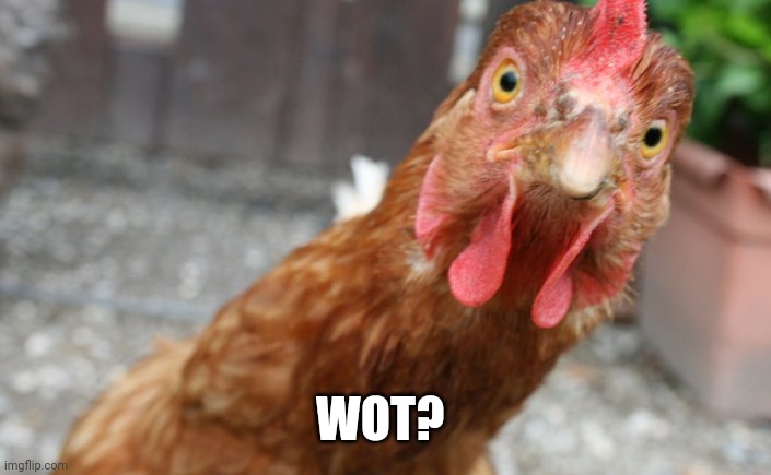Confused chicken | WOT? | image tagged in confused | made w/ Imgflip meme maker
