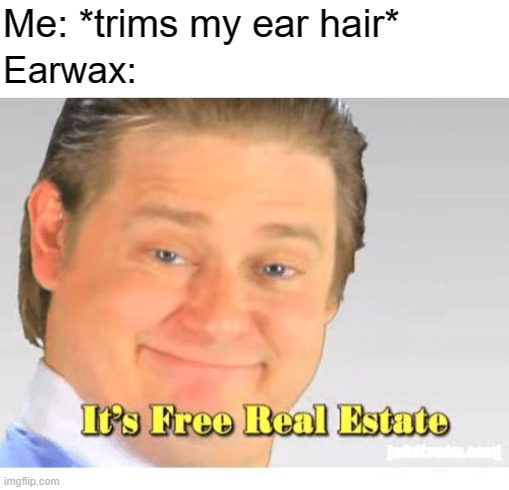 a place we may prosper | Me: *trims my ear hair*; Earwax: | image tagged in it's free real estate,funny,memes,hygiene | made w/ Imgflip meme maker
