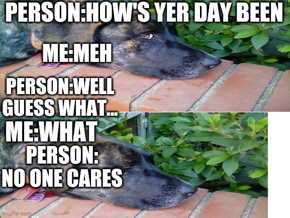 Lol | PERSON:HOW'S YER DAY BEEN; ME:MEH; PERSON:WELL GUESS WHAT... ME:WHAT; PERSON: NO ONE CARES | image tagged in lularoe | made w/ Imgflip meme maker