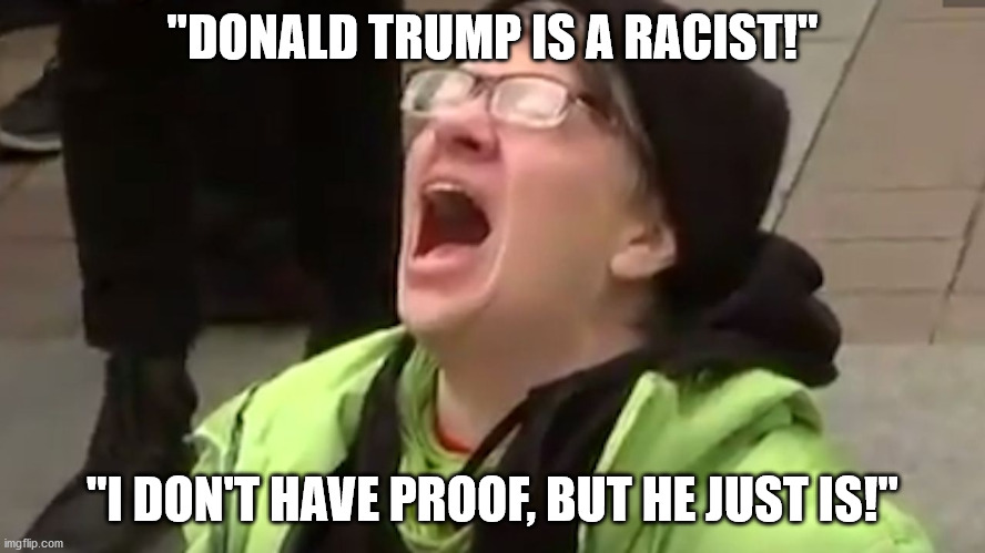 Screaming Liberal  | "DONALD TRUMP IS A RACIST!" "I DON'T HAVE PROOF, BUT HE JUST IS!" | image tagged in screaming liberal | made w/ Imgflip meme maker