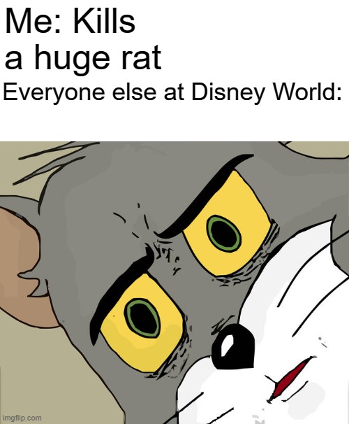Unsettled Tom Meme | Me: Kills a huge rat; Everyone else at Disney World: | image tagged in memes,unsettled tom | made w/ Imgflip meme maker