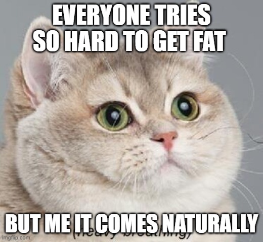 Heavy Breathing Cat Meme | EVERYONE TRIES SO HARD TO GET FAT; BUT ME IT COMES NATURALLY | image tagged in memes,heavy breathing cat | made w/ Imgflip meme maker