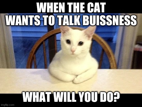 Insert title here: | WHEN THE CAT WANTS TO TALK BUISSNESS; WHAT WILL YOU DO? | image tagged in kermit the frog | made w/ Imgflip meme maker