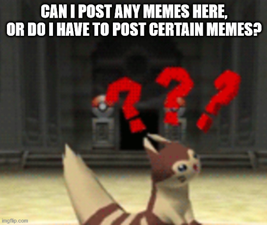 Confused furret | CAN I POST ANY MEMES HERE, OR DO I HAVE TO POST CERTAIN MEMES? | image tagged in confused furret | made w/ Imgflip meme maker