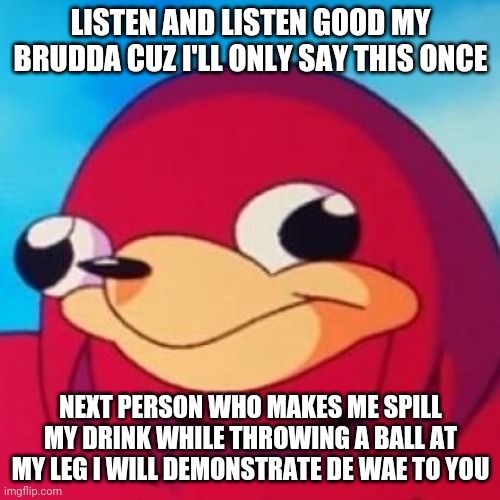 Ugandan Knuckles | LISTEN AND LISTEN GOOD MY BRUDDA CUZ I'LL ONLY SAY THIS ONCE; NEXT PERSON WHO MAKES ME SPILL MY DRINK WHILE THROWING A BALL AT MY LEG I WILL DEMONSTRATE DE WAE TO YOU | image tagged in ugandan knuckles,memes,do you know da wae | made w/ Imgflip meme maker