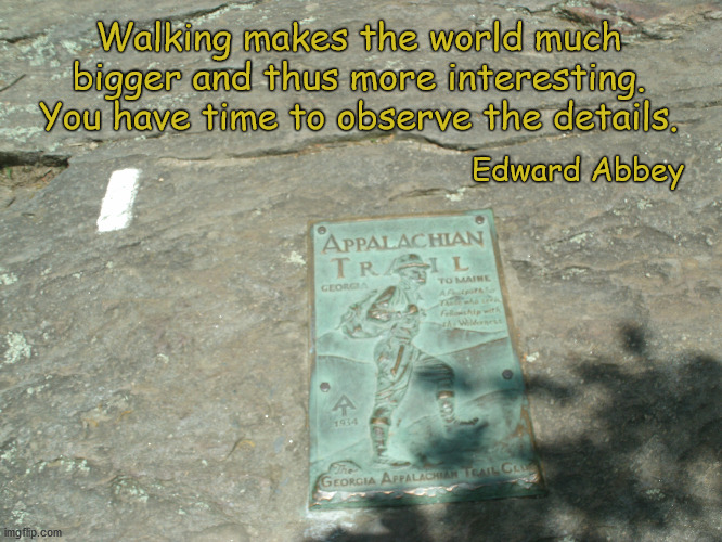 Walking | Walking makes the world much bigger and thus more interesting. You have time to observe the details. Edward Abbey | image tagged in hiking | made w/ Imgflip meme maker