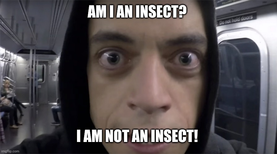 Am I? | AM I AN INSECT? I AM NOT AN INSECT! | image tagged in trump,biden,pewdiepie,shroud,cats,mr robot | made w/ Imgflip meme maker