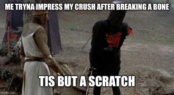 Tis but a scratch | ME TRYNA IMPRESS MY CRUSH AFTER BREAKING A BONE; TIS BUT A SCRATCH | image tagged in tis but a scratch | made w/ Imgflip meme maker