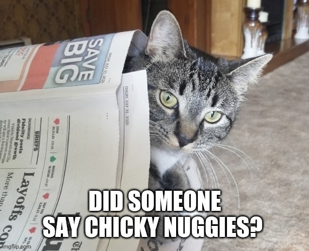 Nuggies? | image tagged in chicken nuggets,funny cats,cats,covid-19,donald trump,joe biden | made w/ Imgflip meme maker