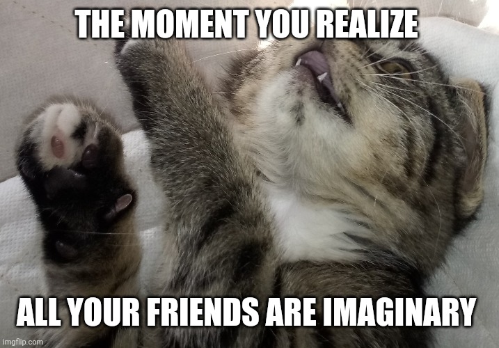Oh Nooooooo! | THE MOMENT YOU REALIZE; ALL YOUR FRIENDS ARE IMAGINARY | image tagged in pewdiepie,drake,xqcl,lirik,tesla,trump | made w/ Imgflip meme maker
