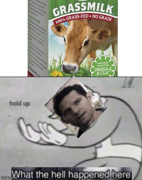 Hold up, what the heck is grass milk | image tagged in fallout hold up,what the hell happened here | made w/ Imgflip meme maker