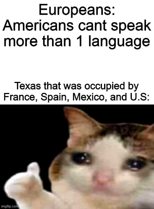 sad cat thumbs up white spacing | Europeans: Americans cant speak more than 1 language; Texas that was occupied by France, Spain, Mexico, and U.S: | image tagged in sad cat thumbs up white spacing | made w/ Imgflip meme maker