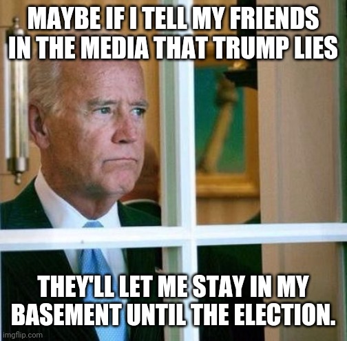 JOE JUST WANTS TO HIDE IN HIS BASEMENT | MAYBE IF I TELL MY FRIENDS IN THE MEDIA THAT TRUMP LIES; THEY'LL LET ME STAY IN MY BASEMENT UNTIL THE ELECTION. | image tagged in sad joe biden,joe biden | made w/ Imgflip meme maker