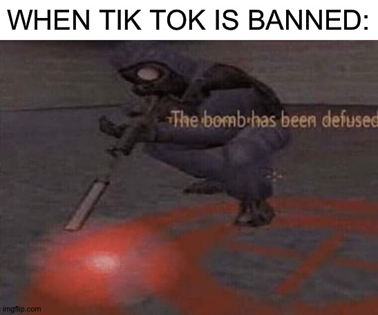 WHEN TIK TOK IS BANNED: | image tagged in blank white template,the bomb has been defused | made w/ Imgflip meme maker