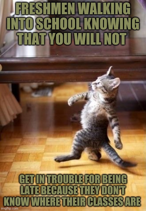 Cool Cat Stroll | FRESHMEN WALKING INTO SCHOOL KNOWING THAT YOU WILL NOT; GET IN TROUBLE FOR BEING LATE BECAUSE THEY DON'T KNOW WHERE THEIR CLASSES ARE | image tagged in memes,cool cat stroll | made w/ Imgflip meme maker