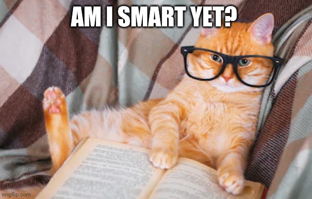 EINSTEIN cat | AM I SMART YET? | image tagged in funny cats | made w/ Imgflip meme maker