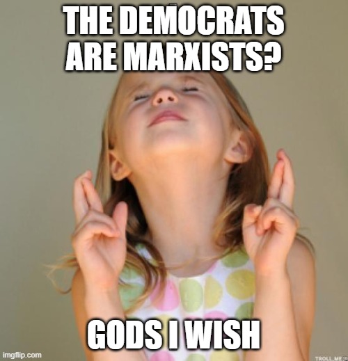 I wish | THE DEMOCRATS ARE MARXISTS? GODS I WISH | image tagged in i wish | made w/ Imgflip meme maker