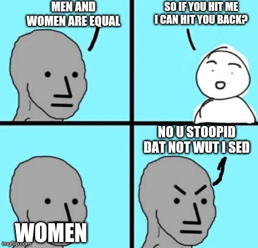 ????? | MEN AND WOMEN ARE EQUAL; SO IF YOU HIT ME I CAN HIT YOU BACK? NO U STOOPID DAT NOT WUT I SED; WOMEN | image tagged in angry npc wojak | made w/ Imgflip meme maker
