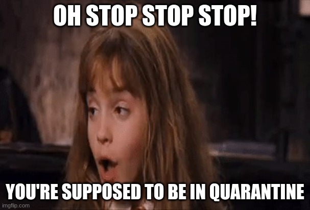 Sefl Quarantine Guidelines | OH STOP STOP STOP! YOU'RE SUPPOSED TO BE IN QUARANTINE | image tagged in leviosa | made w/ Imgflip meme maker