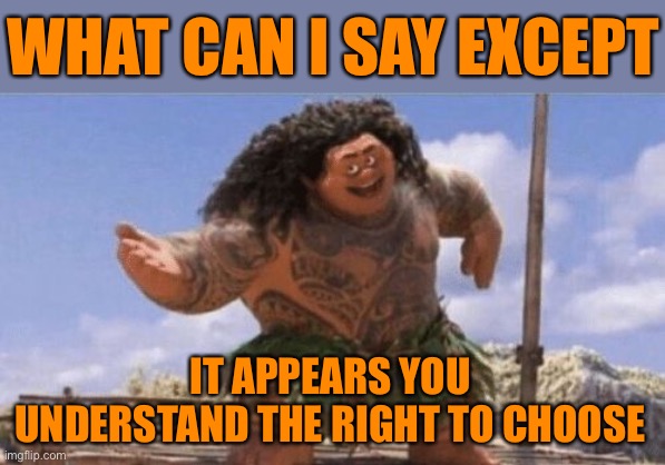 What Can I Say Except X? | WHAT CAN I SAY EXCEPT IT APPEARS YOU UNDERSTAND THE RIGHT TO CHOOSE | image tagged in what can i say except x | made w/ Imgflip meme maker