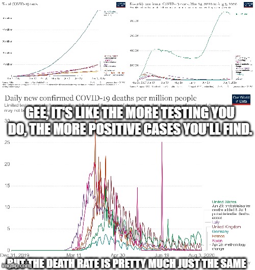 So why are democrats only talking about cases and not the important numbers? | GEE, IT'S LIKE THE MORE TESTING YOU DO, THE MORE POSITIVE CASES YOU'LL FIND. BUT THE DEATH RATE IS PRETTY MUCH JUST THE SAME | image tagged in democrat sheep,think for yourself,do your own investigation,media lies,fake news,make america great again again | made w/ Imgflip meme maker