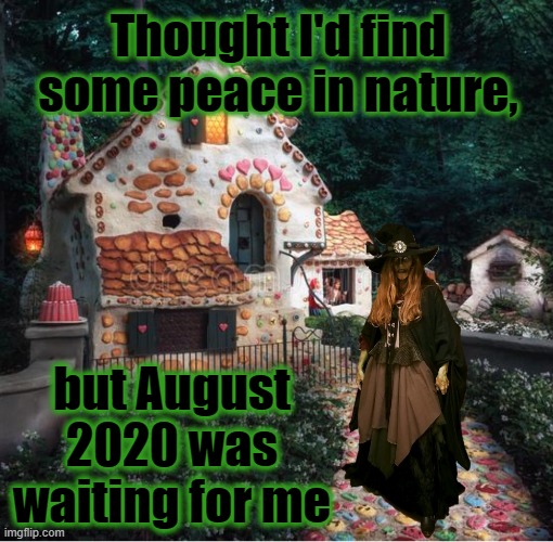 The Gingerbread Hag is Waiting for You in August 2020 | Thought I'd find some peace in nature, but August 2020 was waiting for me | image tagged in gingerbread hag,hansel and gretel,fairy tale,witch,2020 | made w/ Imgflip meme maker