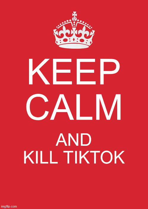 *MARKED* | KEEP CALM; AND KILL TIKTOK | image tagged in memes,keep calm and carry on red | made w/ Imgflip meme maker