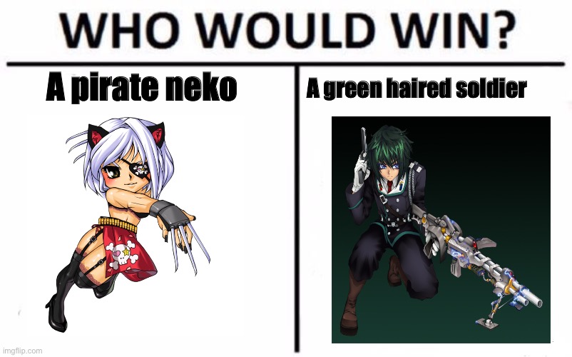 Who would win: pirate neko or Soldier | A pirate neko; A green haired soldier | image tagged in memes,who would win | made w/ Imgflip meme maker