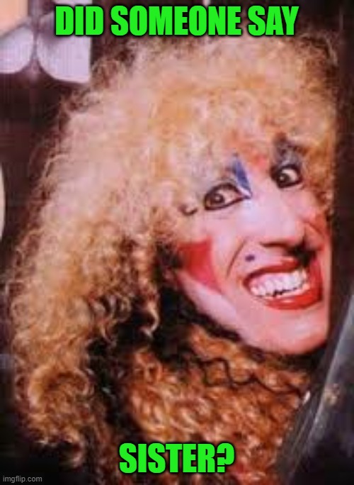 twisted sister | DID SOMEONE SAY SISTER? | image tagged in twisted sister | made w/ Imgflip meme maker