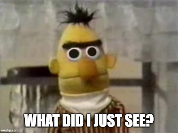 bert muppet what did i just see | WHAT DID I JUST SEE? | image tagged in bert muppet what did i just see | made w/ Imgflip meme maker
