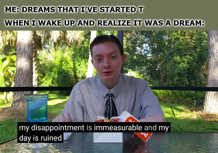 I was kinda happy while dreaming so I actually was disappointed when I woke up | ME: DREAMS THAT I'VE STARTED T; WHEN I WAKE UP AND REALIZE IT WAS A DREAM: | image tagged in my disappointment is immeasurable,trans,gender,ftm | made w/ Imgflip meme maker