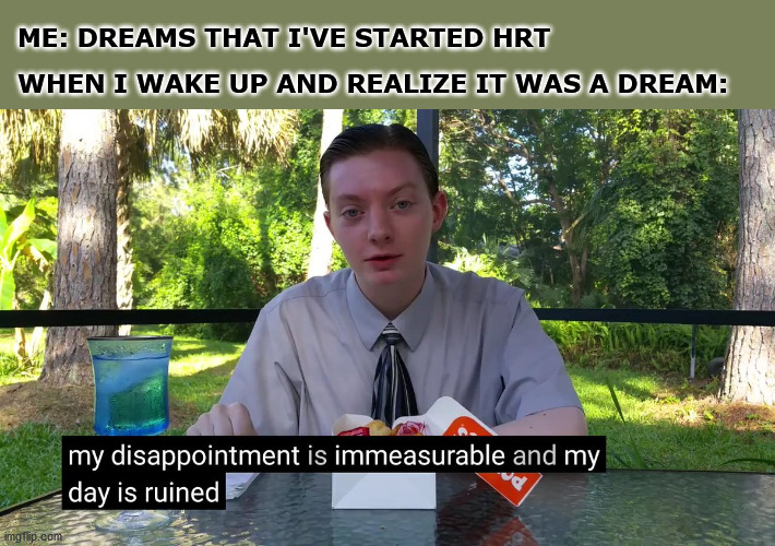 I was very happy on that dream | ME: DREAMS THAT I'VE STARTED HRT; WHEN I WAKE UP AND REALIZE IT WAS A DREAM: | image tagged in my disappointment is immeasurable,lgbtq,trans | made w/ Imgflip meme maker