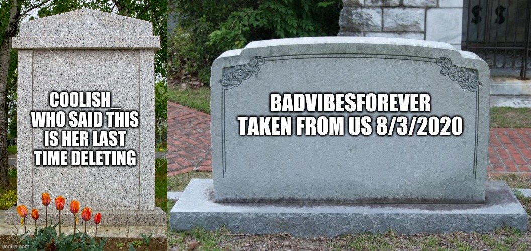 WHYYYYYYYYYYYYY?!?!?!??!??!!?!! | COOLISH_
WHO SAID THIS IS HER LAST TIME DELETING; BADVIBESFOREVER
TAKEN FROM US 8/3/2020 | image tagged in buried alongside each other,rip,welp the 4 weirdos are officially ded,im so depressed | made w/ Imgflip meme maker