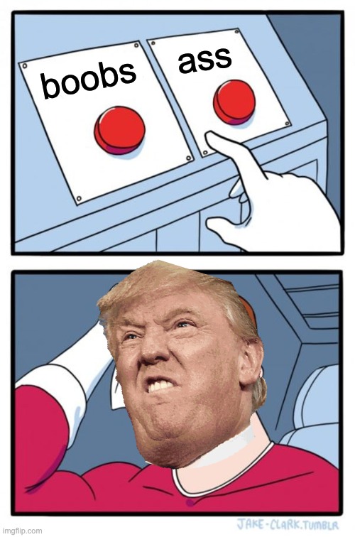 donald every day | ass; boobs | image tagged in memes,two buttons | made w/ Imgflip meme maker