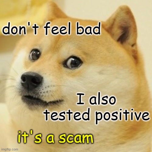 Doge Meme | don't feel bad I also tested positive it's a scam | image tagged in memes,doge | made w/ Imgflip meme maker