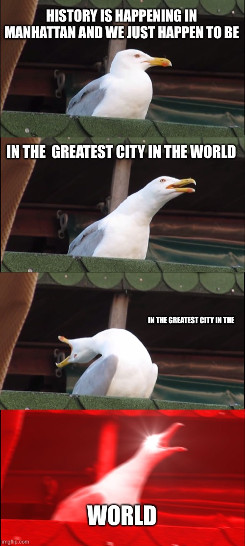 Hamilton memes | HISTORY IS HAPPENING IN MANHATTAN AND WE JUST HAPPEN TO BE; IN THE  GREATEST CITY IN THE WORLD; IN THE GREATEST CITY IN THE; WORLD | image tagged in memes,inhaling seagull,hamilton | made w/ Imgflip meme maker